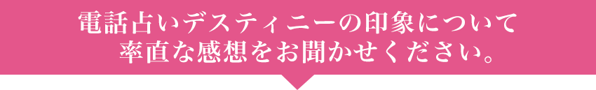 �������������������ꤤDestiny�ˤĤ��Ƥ� ���ۥ����Ȥ򤪴ꤤ���ޤ���